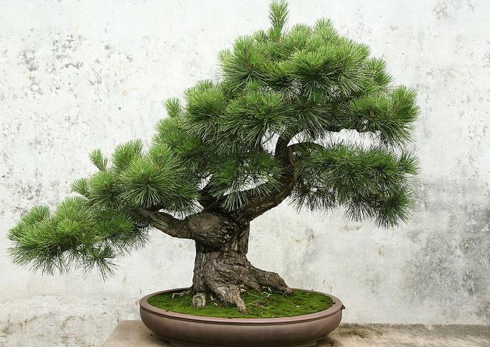 房屋装修风水